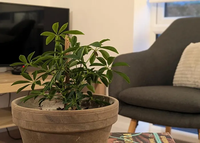 Private Проживание в семье *